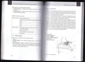 Markéta Křivánková: Somatologie