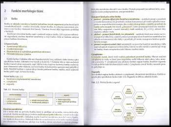 Markéta Křivánková: Somatologie