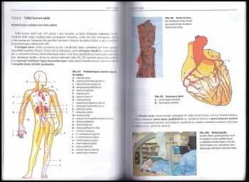 Richard Rokyta: Somatologie