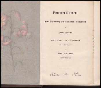 Carus Sterne: Sommerblumen