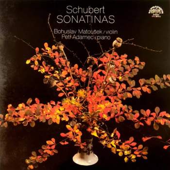 Franz Schubert: Sonatinas For Violin and Piano, Op. 137 (Sonatiny Pro Housle A Klavír)