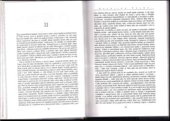 William Styron: Sophiina volba