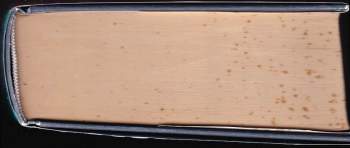 William Styron: Sophiina volba