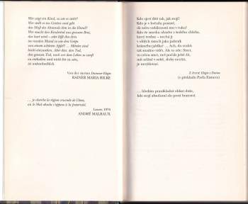William Styron: Sophiina volba