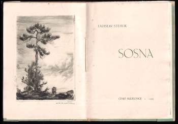 Ladislav Stehlík: Sosna