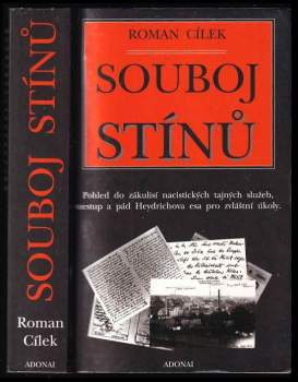 Souboj stínů
