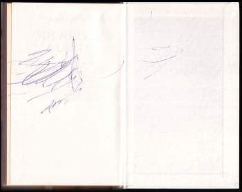 Lenka Lanczová: Souhvězdí Labutě