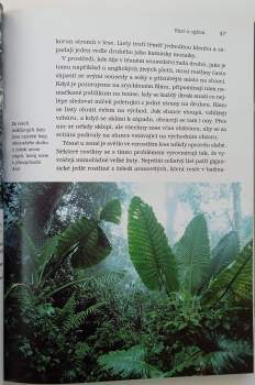 David Attenborough: Soukromý život rostlin