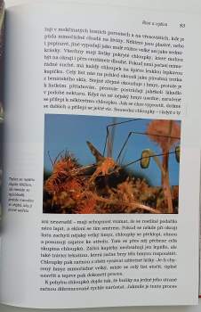 David Attenborough: Soukromý život rostlin