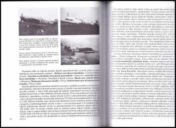 Jiří Rajlich: Soumrak králů vzduchu