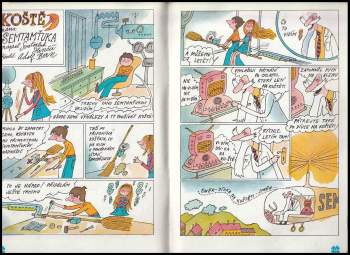 Ljuba Štíplová: Soumrak loupežníků - Čtyřlístek 85