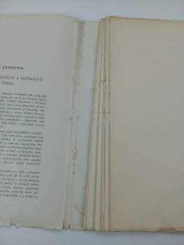 Zdeněk Wirth: Soupis památek historických a uměleckých v království Českém od pravěku do počátku 19. století