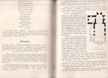 Ferdinand Vaněk: Soupis památek historických a uměleckých v království českém, XVII. Politický okres Domažlický