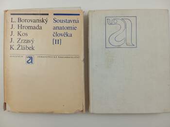 Ladislav Borovanský: Soustavná anatomie člověka II