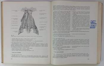 Ladislav Borovanský: Soustavná anatomie člověka
