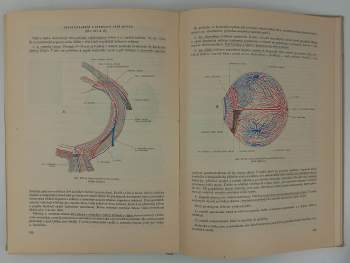 Karel Zlábek: Soustavná anatomie člověka