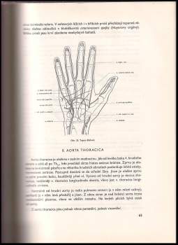 Ladislav Borovanský: Soustavná anatomie