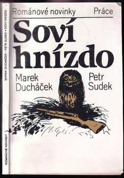 Soví hnízdo
