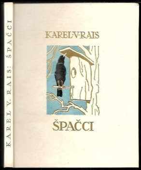 Špačci