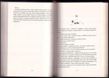 Barbara Erskine: Spáčův hrad