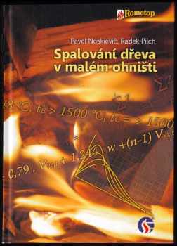 Pavel Noskievič: Spalování dřeva v malém ohništi