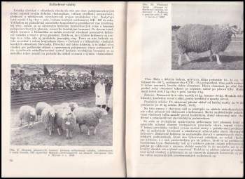 Bora Čumlivský: Špeciálna zootechnika