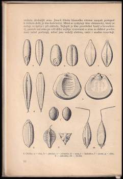 Václav Kuhn: Speciální pěstování rostlin