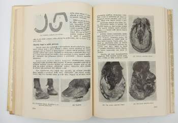 Josef Šmerha: Speciální zootechnika