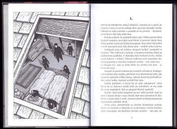 Martin Vopěnka: Spící město