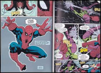 Tim Sale: Spider-Man - Smutek