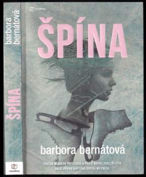 Špína