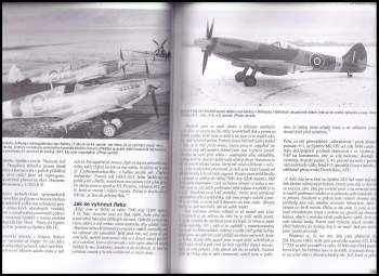 Peter Caygill: Spitfire Mk.VI-F.24