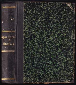 Ralph Waldo Emerson: Společnost a samota