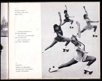 Ludwig Ferdinand Herbst: Sport in Wiesbaden