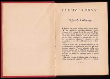 Charles Alden Seltzer: Správce ranche