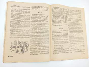 Captain Raylton: Spravedlivé pistole, Rozruch 106, ročník III., č. I.