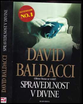 David Baldacci: Spravedlnost v Divine