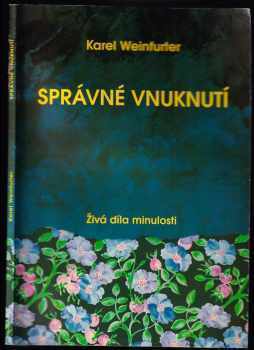 Správné vnuknutí