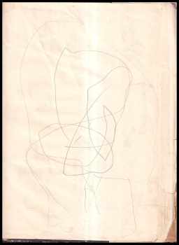 Jan Čarek: Srdce potěšení