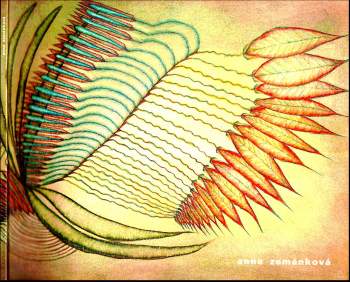 Jan Willem Honig: Srebrenica