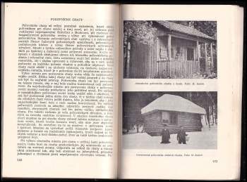 Martin Kulich: Srnčia zver
