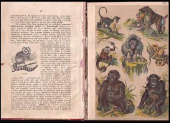 Bohuslav Záborský: Ssavci