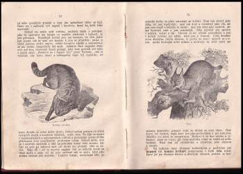 Bohuslav Záborský: Ssavci