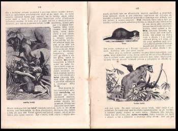 Bohuslav Záborský: Ssavci