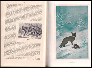 Bohuslav Záborský: Malý Brehm- Ssavci