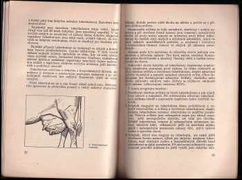 Josef Veselý: Stájové nemoci skotu