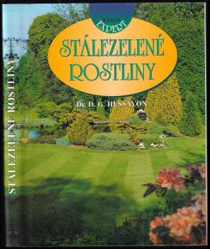 Stálezelené rostliny