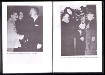 Robert C Tucker: Stalin