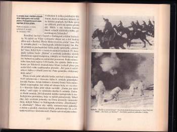 Stalingrad : peklo na Volze