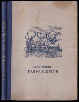 Stan na bílé pláni